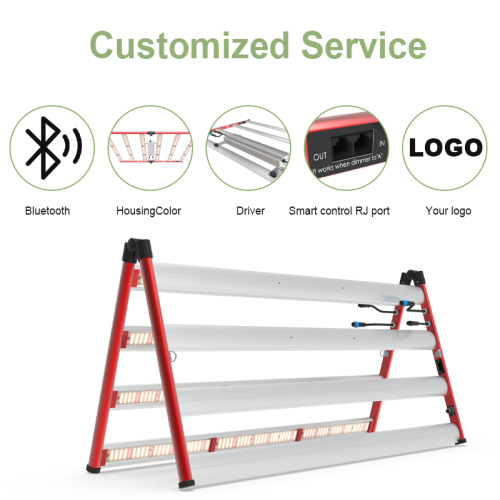 Lm301b/301h Greenhouse Horticulture Led Grow Light 800W