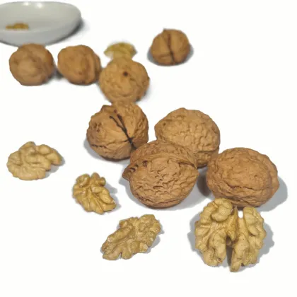 Bulk Wholesale Walnut Fruit