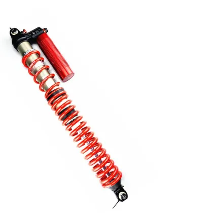 Advanced Desert Racing Coilover Suspension with Eibach Springs - 4-Way Adjustable
