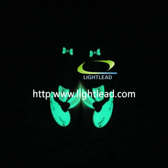 glow in the dark photoluminescet glowing Luminous Slippers
