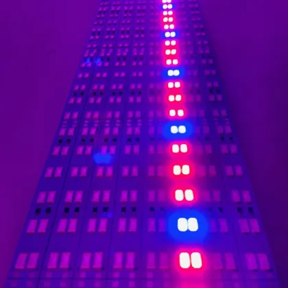 led grow lights PCBA