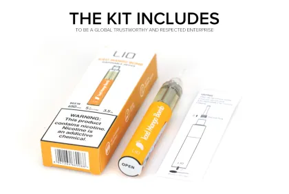 2021 Popular Disposable Electronic Cigarettes Jook Lio Bee