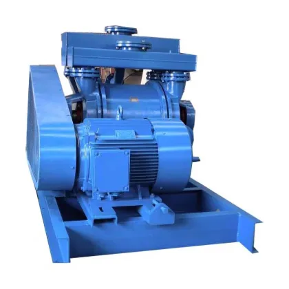 Elmo Rietschle Liquid Vacuum Pump with Stainless Steel