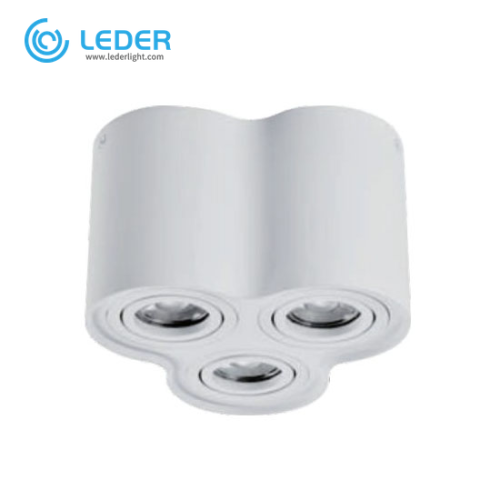 LEDER Landscape Powerful 3W LED Downlight