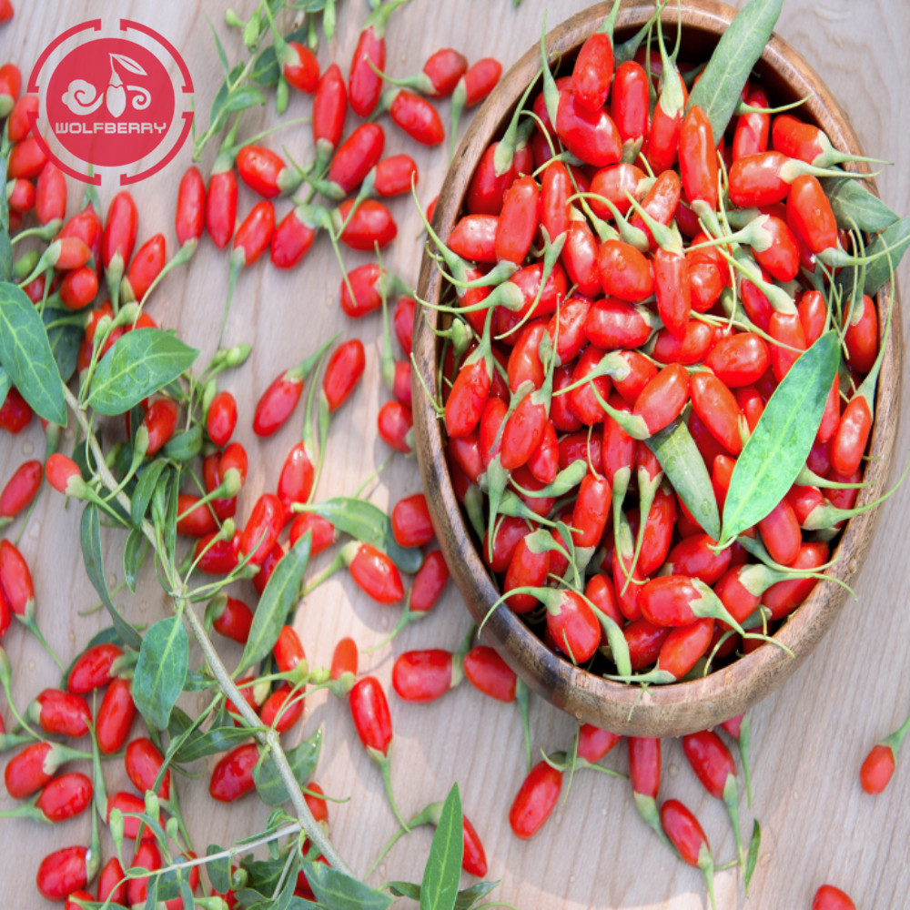 Tonic Herb Tastes Goji Berries racun perosak yang sangat rendah