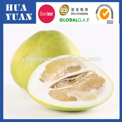 Fresh citrus fruit shaddock fruit for sale