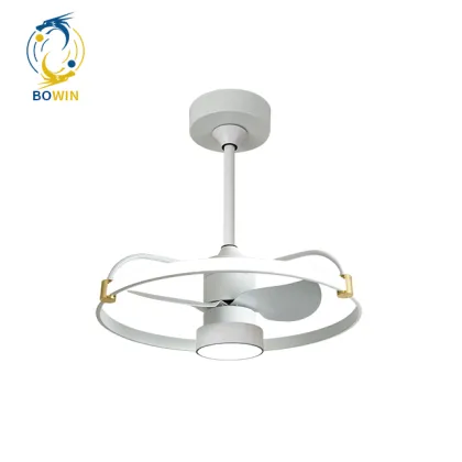 2023 LED Lights with Ceiling Fan: Retractable Chandelier Fan Light