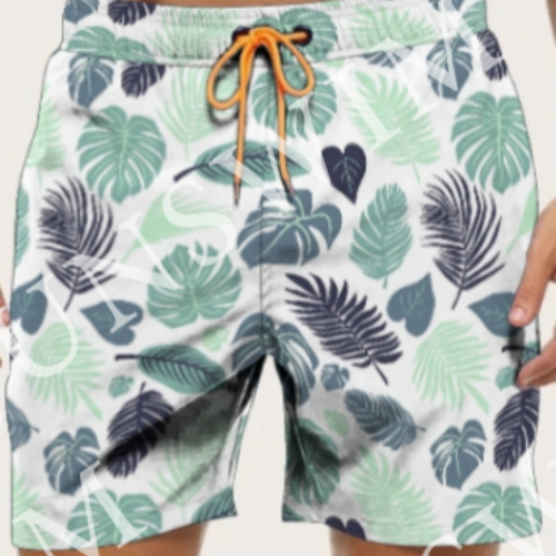 Beach Shorts Png