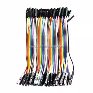20 cm 40pin couleur dupont f to f