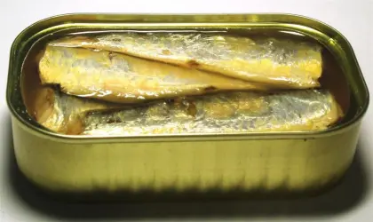 Canned Spiced Sardine in Vegetable Or Olive Oil