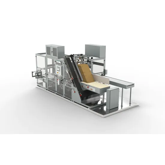 DKXC600 Side Loading Customized Case Packer from Shanghai Manufacturer