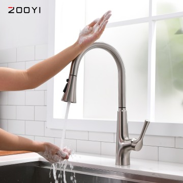 ZOOYI 360 Degree Rotation Brushed Nickel Intelligent Kitchen Faucet