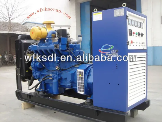 60KW Weifang RIcardo natural gas generator
