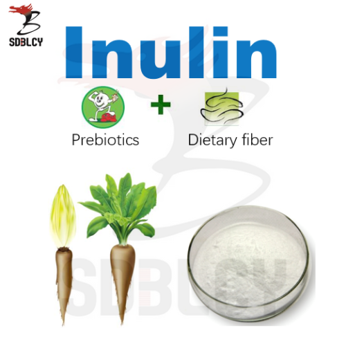 Mejor suplemento de inulina de extracto de achicoria para la salud intestinal