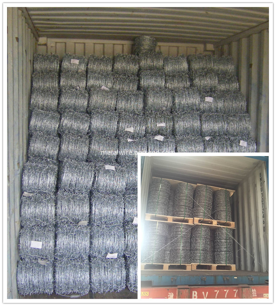 High Quality Bwg 16 Single Strand Electric Galvanized Barbed Wir