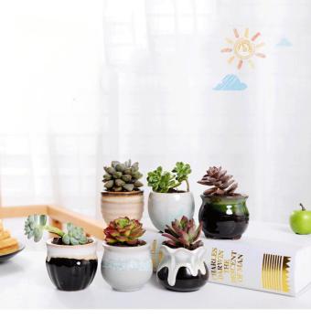 Office Home Decor: Small Ceramic Pots with Artificial Succulents In Pot