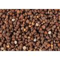 High Quality Perilla Seed