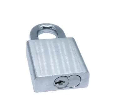 SFIC Master Cylinder Inerchangeable Brass Padlock