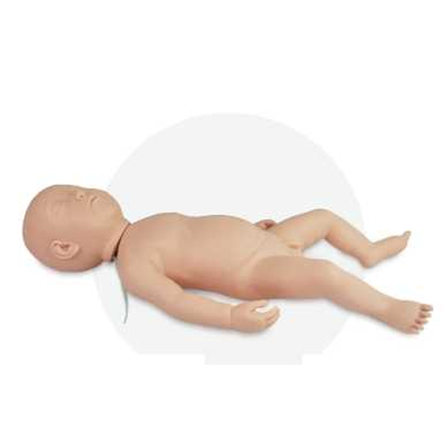 Interactive Infant Simulation Model Full body Infant head injection Model Factory