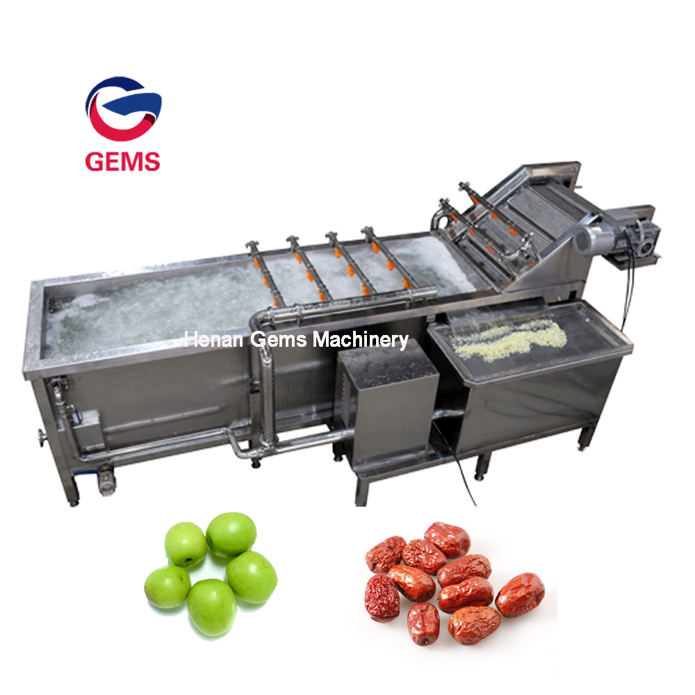 Lotus Root Blanching Washing Machine Lotus Cleaning Machine