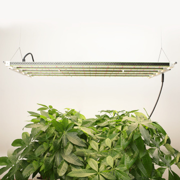 Bar Grow Lights 730W pour les plantes intérieures légumes