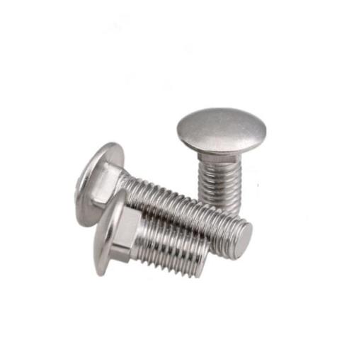 Stainless Steel carriage bolt screw 304 316