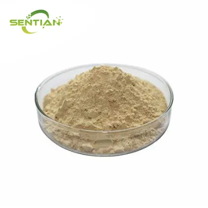 High-purity American ginseng extract powder
