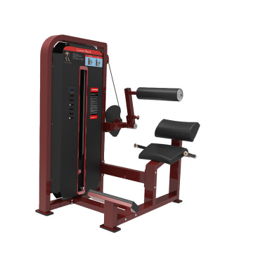 Pin Loaded Gym Fitness Equipment Back Extension Machine