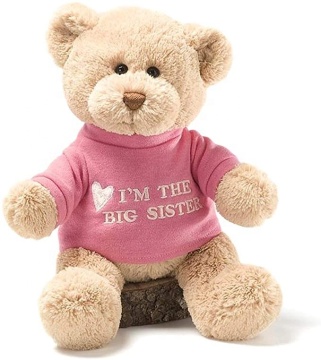 Custom Cute Plush Toy Teddy Bear - Your Personal Softie Companion