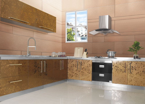 Stainless Steel Kitchen Cabinets (BR-SS008)