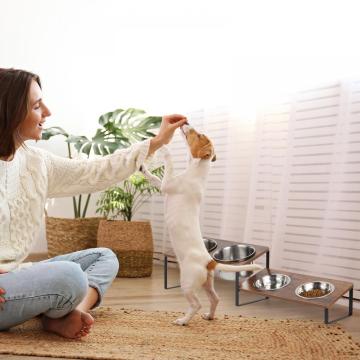 Elevated Dog Tilted Bowls Stand Set