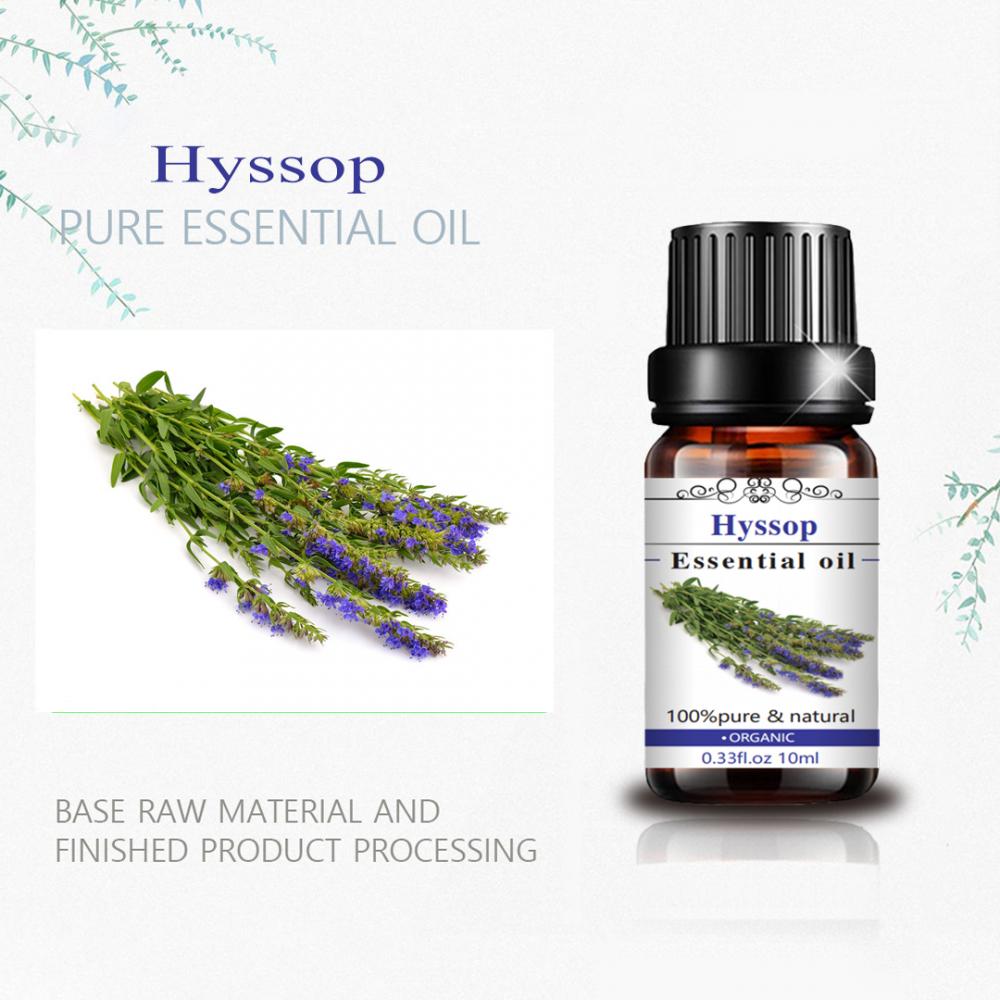 Óleo de Hyssop orgânico natural puro Óleo de massagem da pressão arterial inferior