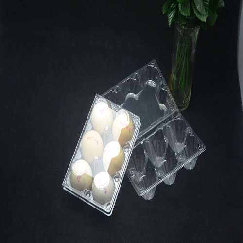 Plastic Egg Tray For 6 Holes