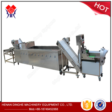 Dòng xử lý măng tây và bông cải xanh: Giải pháp máy móc rau