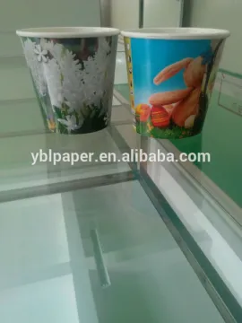 Advertising LOGO Printed Flower Paper Pot