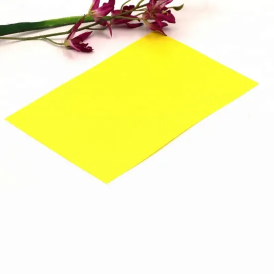 Colored Polypropylene Plastic PP Sheet for Stationery