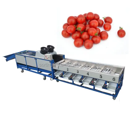 Automatic Fruit and Vegetable Washing Machinery: Fresh Ginger Washing Machine