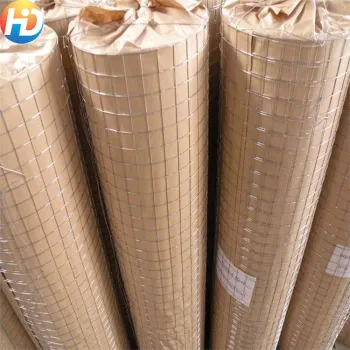 China Factory Hot Dipped Galvanized Welded Wire Mesh