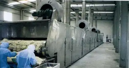 Chicken Essence Drying Line