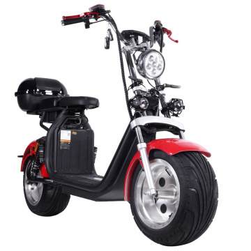Lithium Electric Bicycle with Removable Battery and Long Life