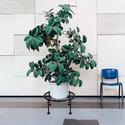 Minimalist American Style Detachable Iron Flower Stand