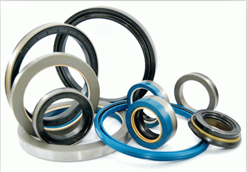 Oil Seal