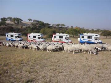 Most Popluar China Motorhome