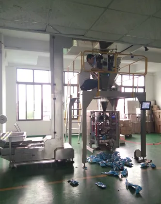 watermelon seeds bag packing machine SK-K220DT