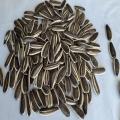 Wholesale Top Quality Sunflower Seeds