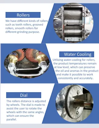 Cocoa Processing Machines and Instant Coffee Production Line