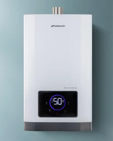 Household Constant Temperature Gas Water Heater