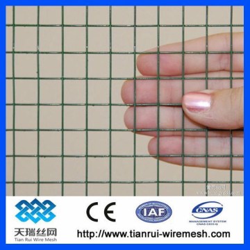 Hot dipped /electro Galvanized Welded wire mesh