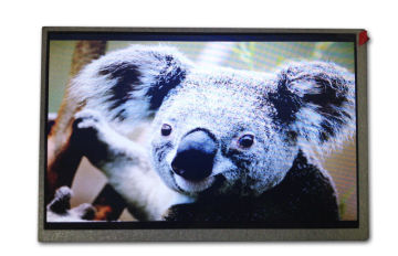 250nits 1280x800 9 Inch Innolux Lcd Screen Ej090na-01b For Digital Camera