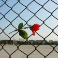 rhombus diamond-shaped chain link mesh fence